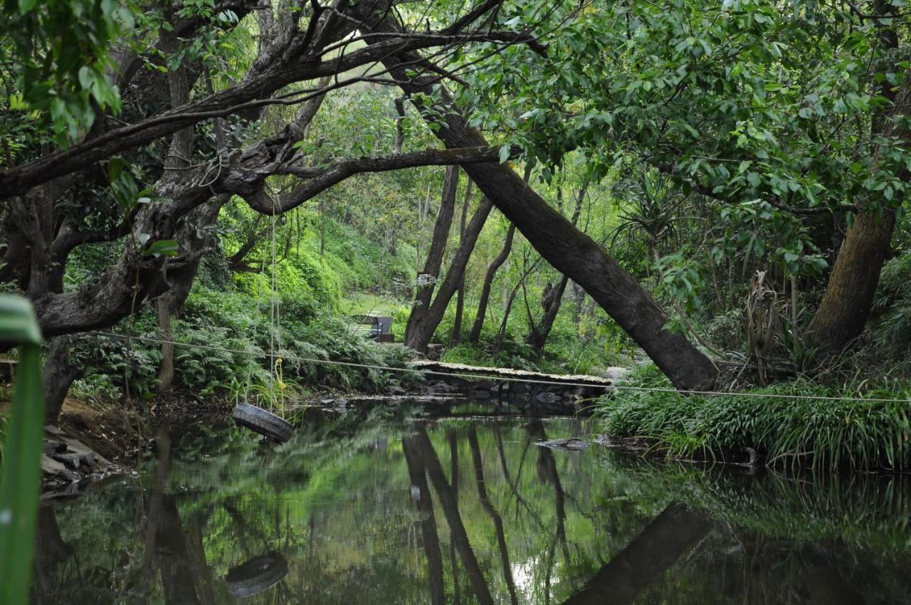 Amanvana Spa Resort, Coorg Kushālnagar Zewnętrze zdjęcie